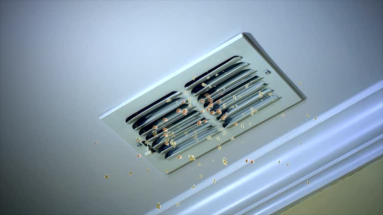Best Residential Air Duct Cleaning  in New Haven, MO