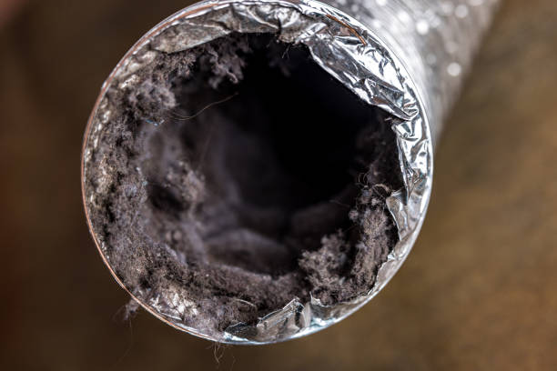 Best Air Duct Cleaning Near Me  in New Haven, MO